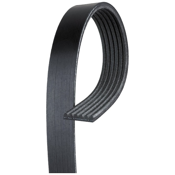 Micro-V Serpentine Belt
